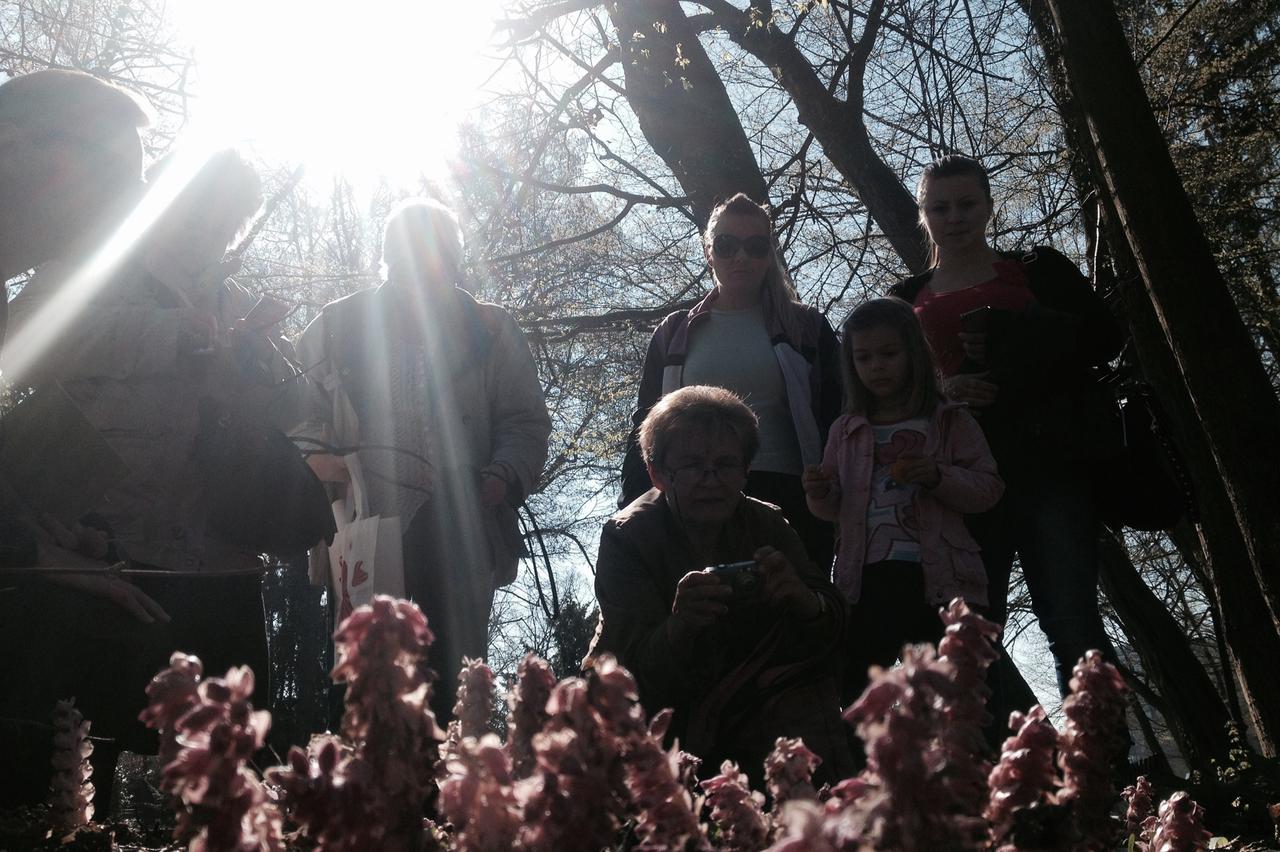 Proljeće Park Maksimir