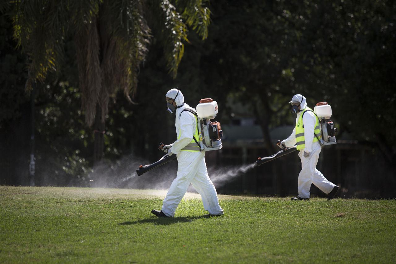 Buenos Aires: Borba protiv širenja Zika virusa