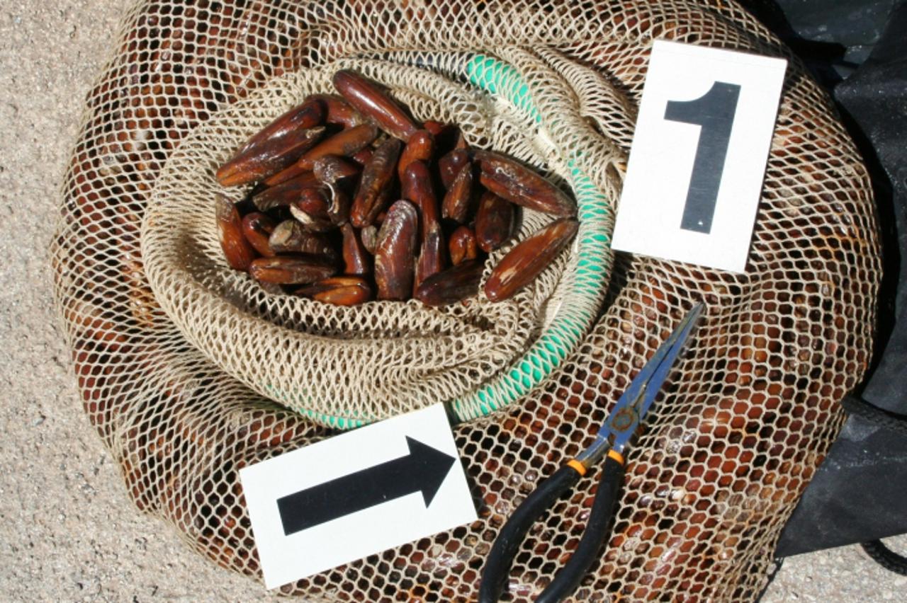 'Photo: Dusko Marusic/Vecernji list 01.06.2009 POKRAJINA-POREC-HRVATSKA-ZAPLJENJEI PRSTACI NA PORECKOJ RIVI FOTO DUSKO MARUSIC'