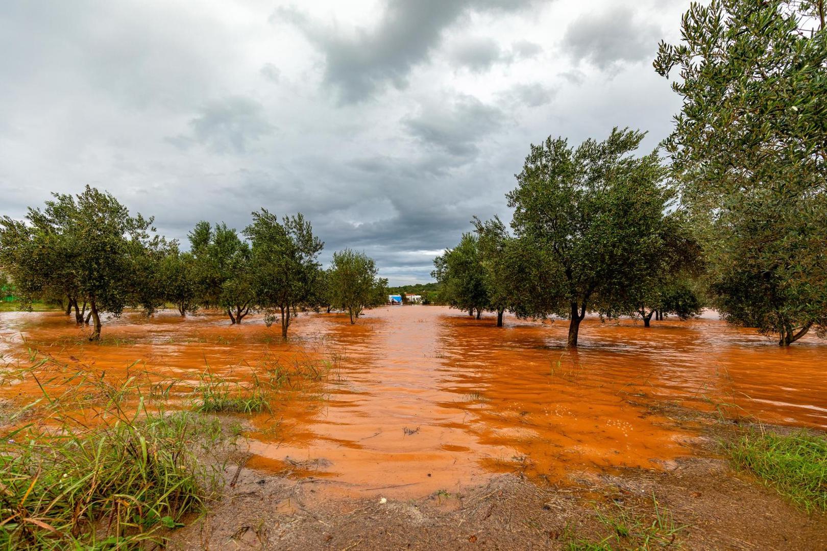 11.10.2020., Kokuletovica - Velike kolicine kise stvorile su mjestimicne probleme u prometu i poplavile su neke maslinike te vinograde.Photo: Srecko Niketic/PIXSELL