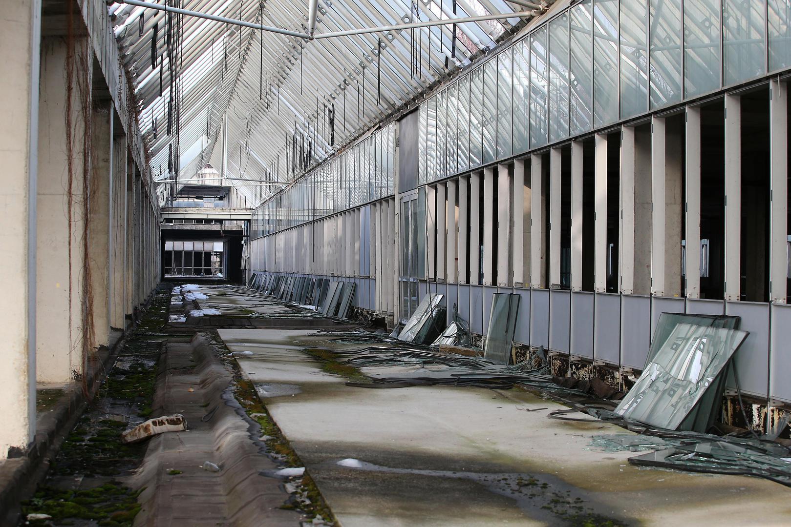 11.02.2018., Zagreb - Zapusteni prostor nikad dovrsene Sveucilisne bolnice u naselju Blato. Photo: Jurica Galoic/PIXSELL