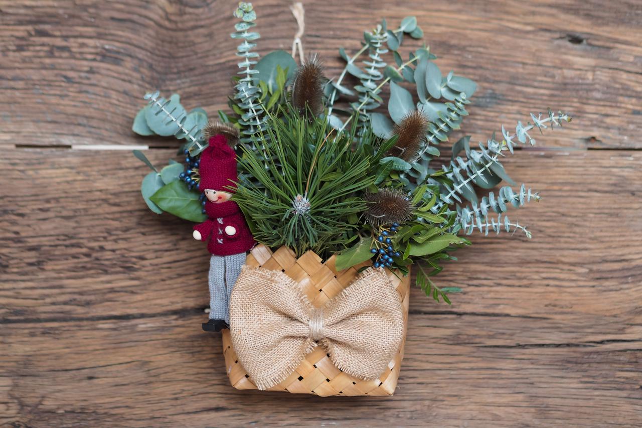 JYSKCarolijaBlagdana