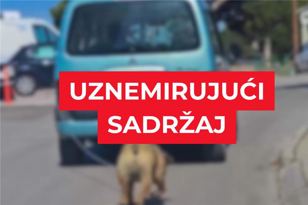 Muškarac (59) uhićen u Šibeniku zbog vučenja psa na lancu automobilom u pokretu — image 2