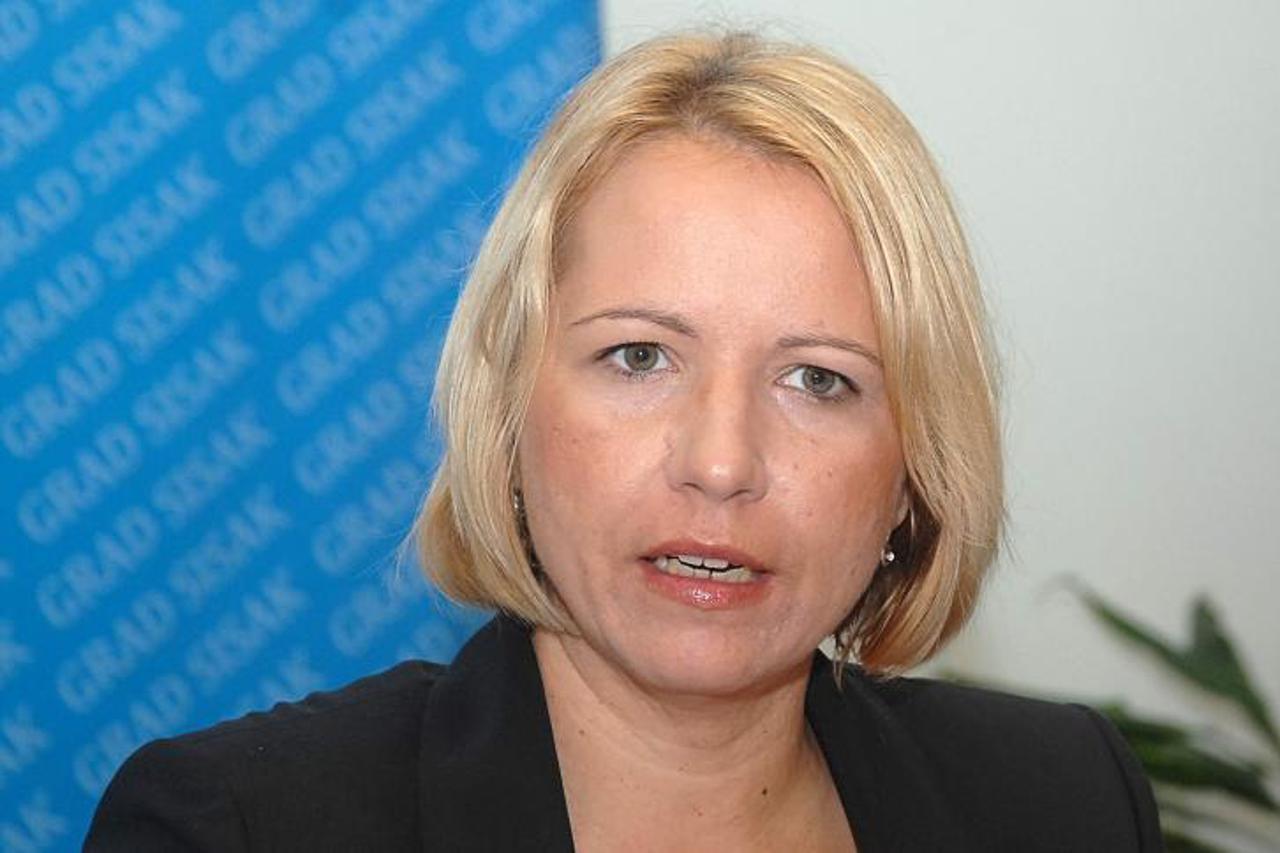 '26.08.2013., Sisak - O programu obiljezavanja Dana branitelja grada Siska 1.rujna na tiskovnoj konferenciji govorili su gradonacelnica Kristina Ikic Banicek, predsjednik Koordinacije udruga proizasli