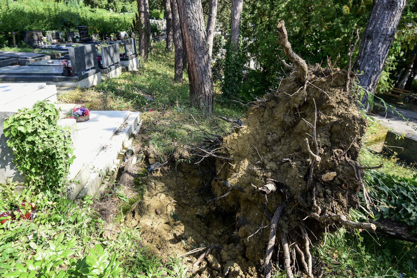 20.07.2023., Zagreb, Hrvatska - Olujno nevrijeme poharalo groblje Mirogoj. Photo: Neva Zganec/PIXSELL