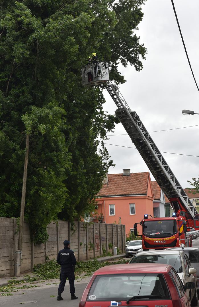 16.4.2024., Zagreb - U Moscenickoj ulici jak vjetar otrgnuo je nekoliko grana s jablana, pa vatrogasci uklanjaju grane koje bi mogle pasti na ulicu. Photo: Davorin Visnjic/PIXSELL