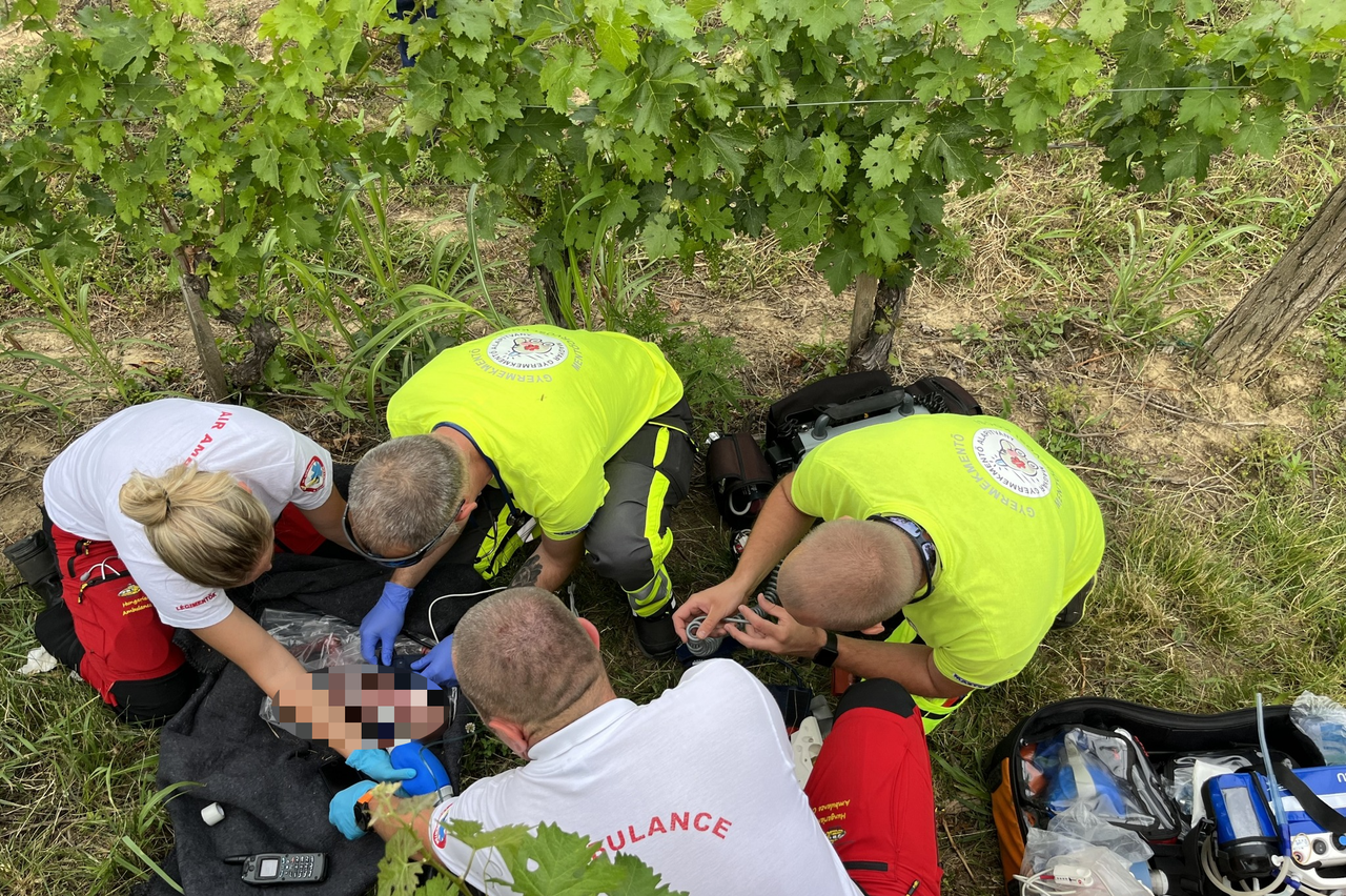 Spašavanje bebe u vinogradu u Mađarskoj