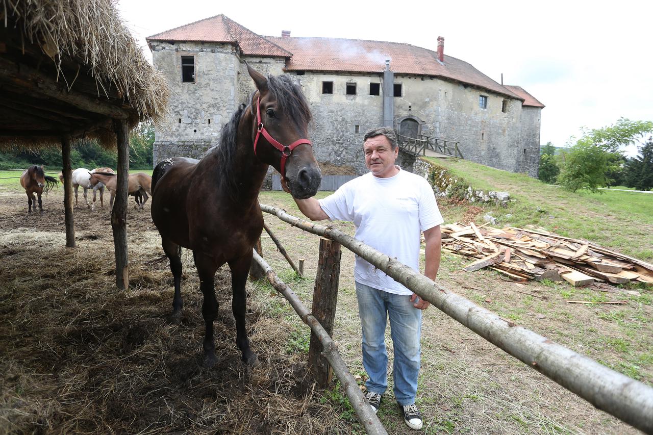 19.08.2016.,  Ribnik - Reportaza o zivotu mjesta za snimanja showa Anno Domini. Popred starog grada su konji koje obilaze mjestani i turisti. Photo: Kristina Stedul Fabac/PIXSELL