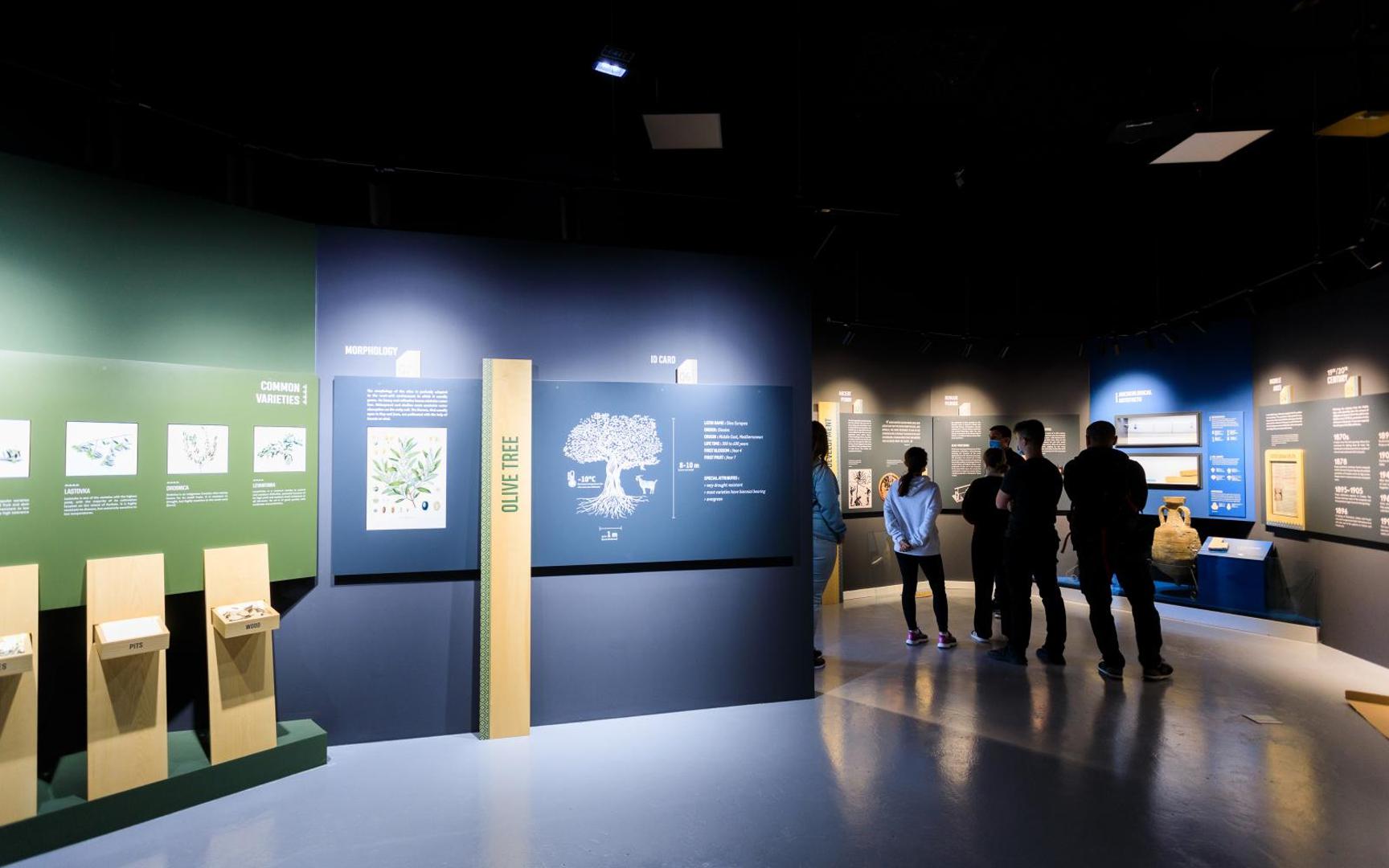 20.05.2021., Klis - U etno selu Stella Croatia otvara se muzej posvecen maslini.
Photo: Milan Sabic/PIXSELL