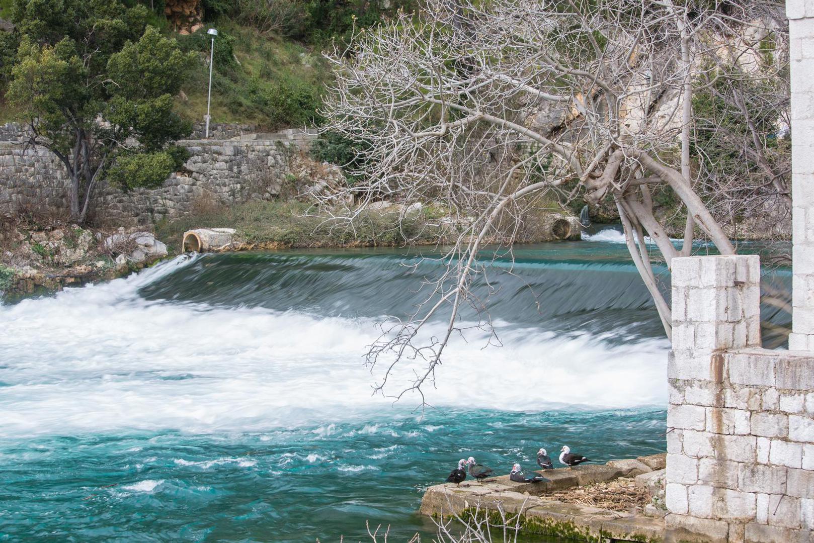 Prije proglašenje Omble najkraćom rijekom, tu je titulu nosila Roe River, u saveznoj državi Montani u SAD-u
