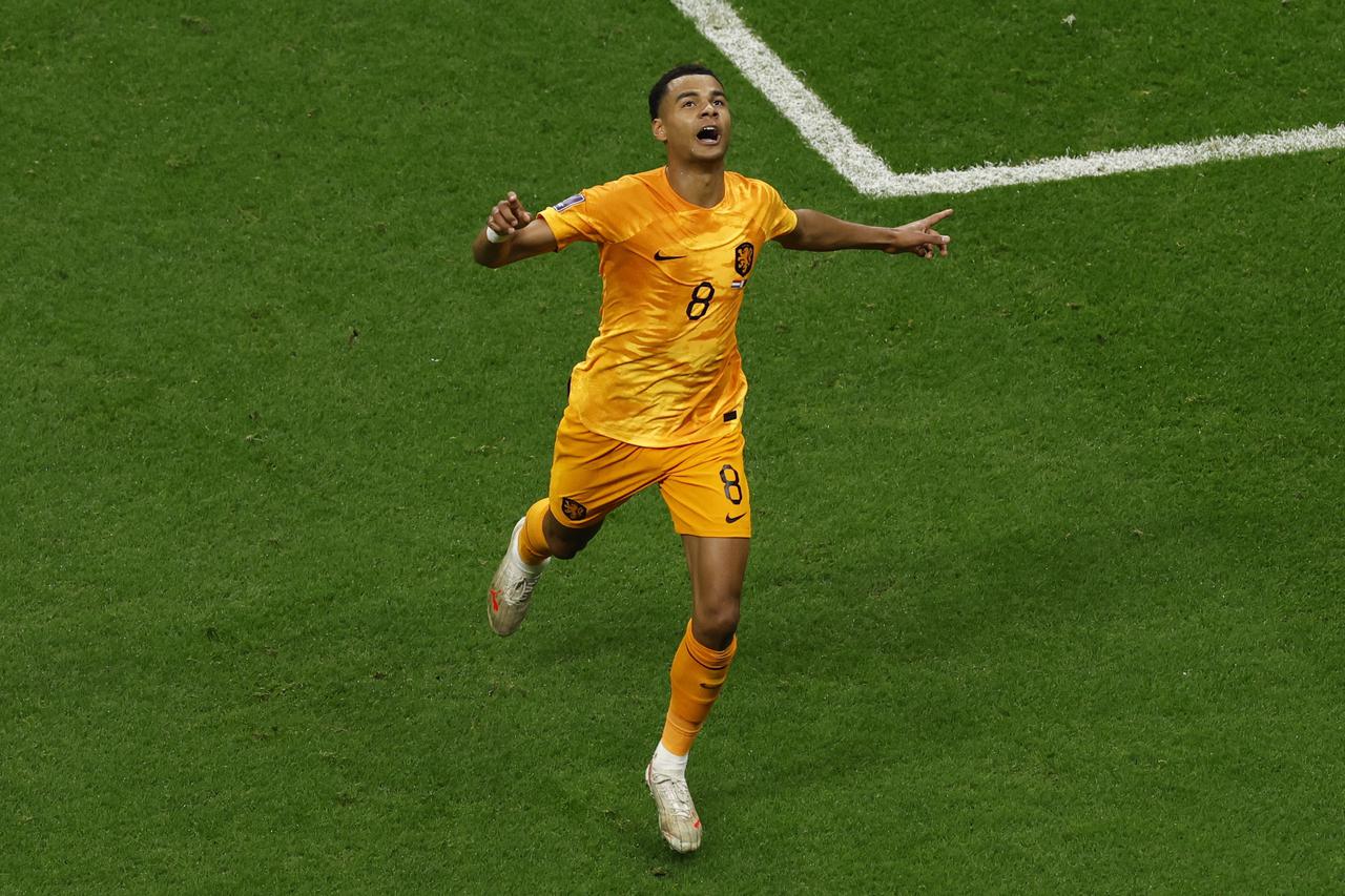 FIFA World Cup Qatar 2022 - Group A - Netherlands v Qatar