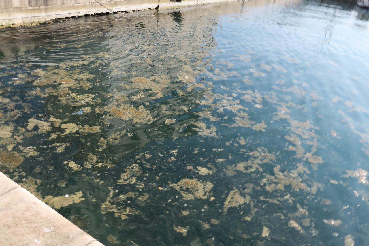 Onečišćeno more/Ilustracija