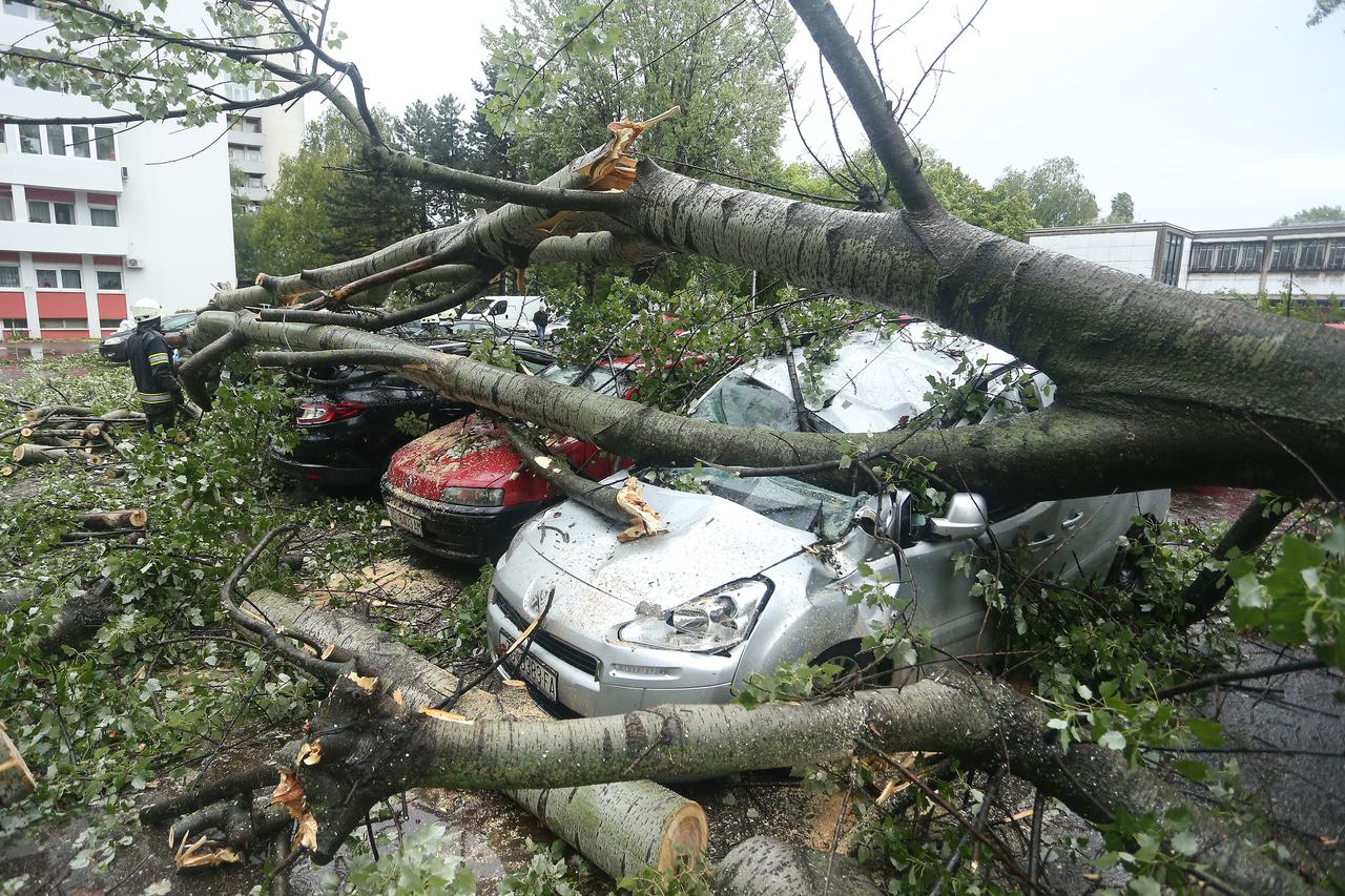 Zbog jakog vjetra u Sopotu se srušilo stablo na automobile, intervenirali vatrogasci