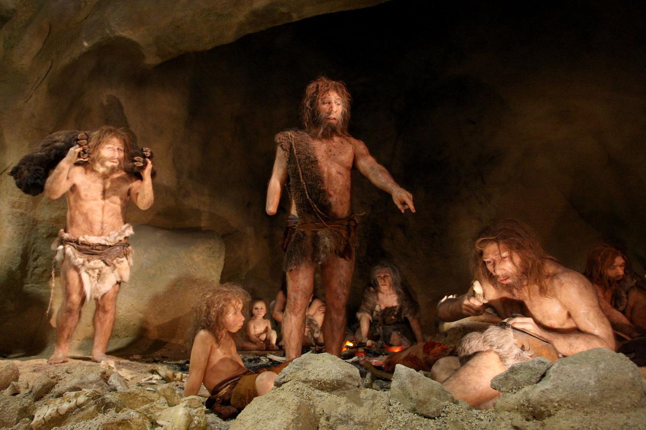 23.02.2010., Krapina - Uredjenje i zavrsne pripreme za otvorenje Muzeja krapinskog neandertalaca Photo: Boris Scitar/PIXSELL