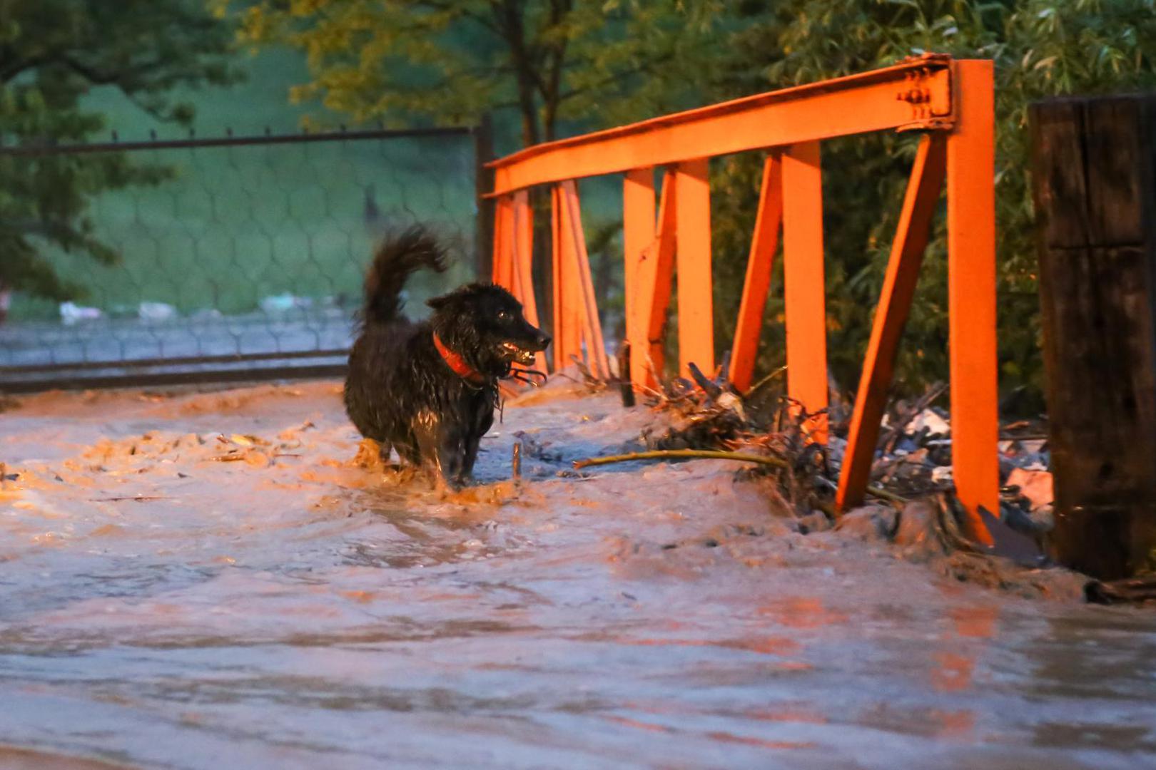 21, May, 2024, Novi Pazar - Novi Pazar was badly hit by the storm, the swollen river Trnavica spilled out of its bed, many citizens are stuck in their houses, teams are on the ground and carry out the necessary interventions. Photo: Elmedin Hajrovic/ATAImages21, maj, 2024, Novi Pazar - Novi Pazar tesko je pogodjen nevremenom, nabujala reka Trnavica izlila se iz svog korita,  brojni gradjani su zaglavljeni u kucama, ekipe su na terenu i vrse neophodne intervencije. Photo: Elmedin Hajrovic/ATAImages Photo: Elmedin Hajrovic/ATA Images/PIXS/PIXSELL