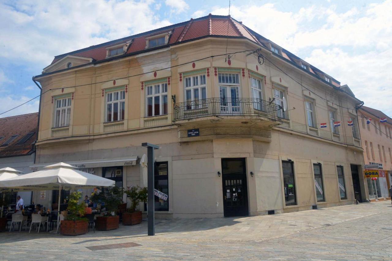 Obnova rodne kuće sisačkog slikara Slave Striegla