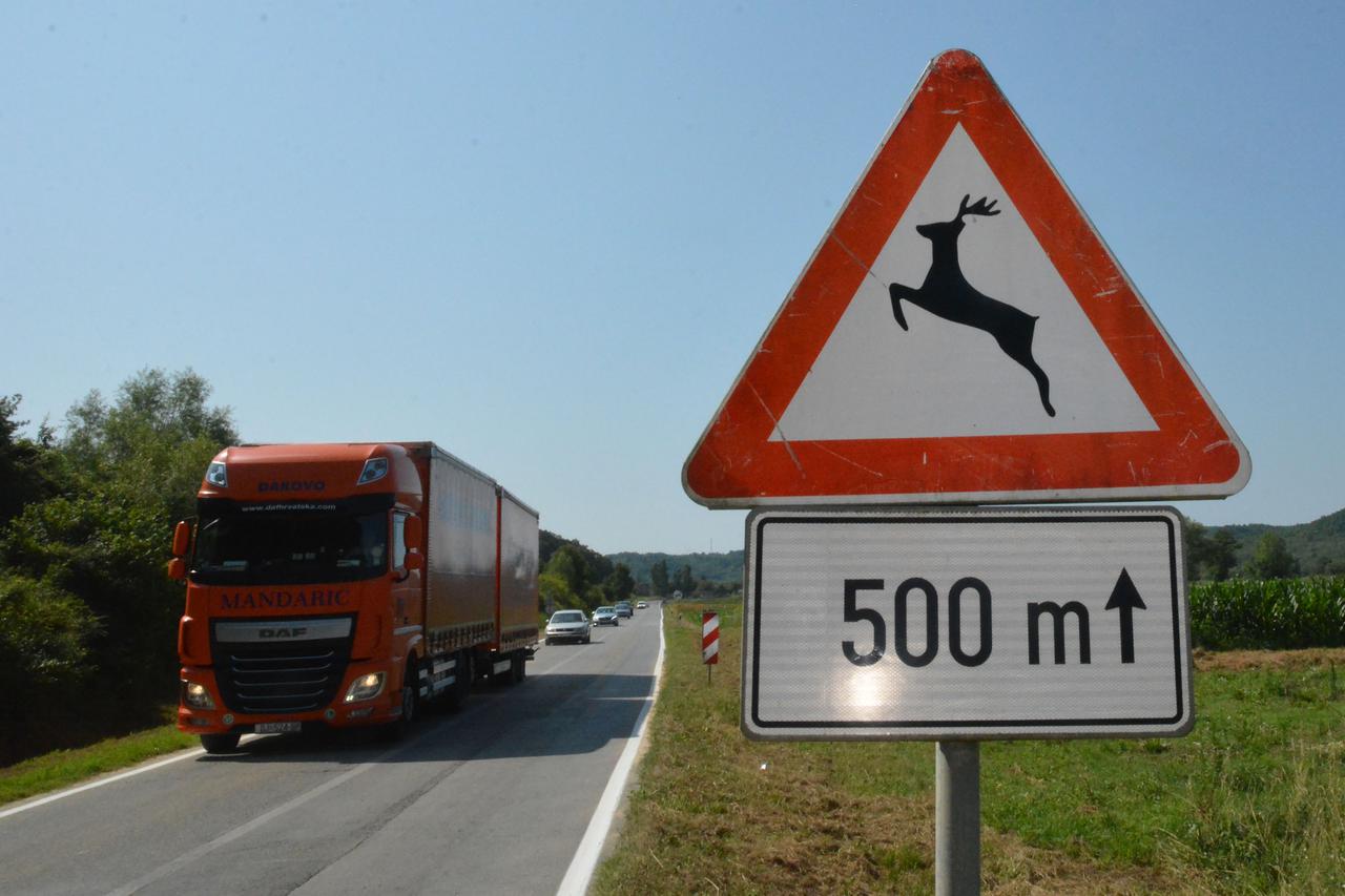 Prometni znak "divljač na cesti" na prometnici Slavonski Brod - Požega