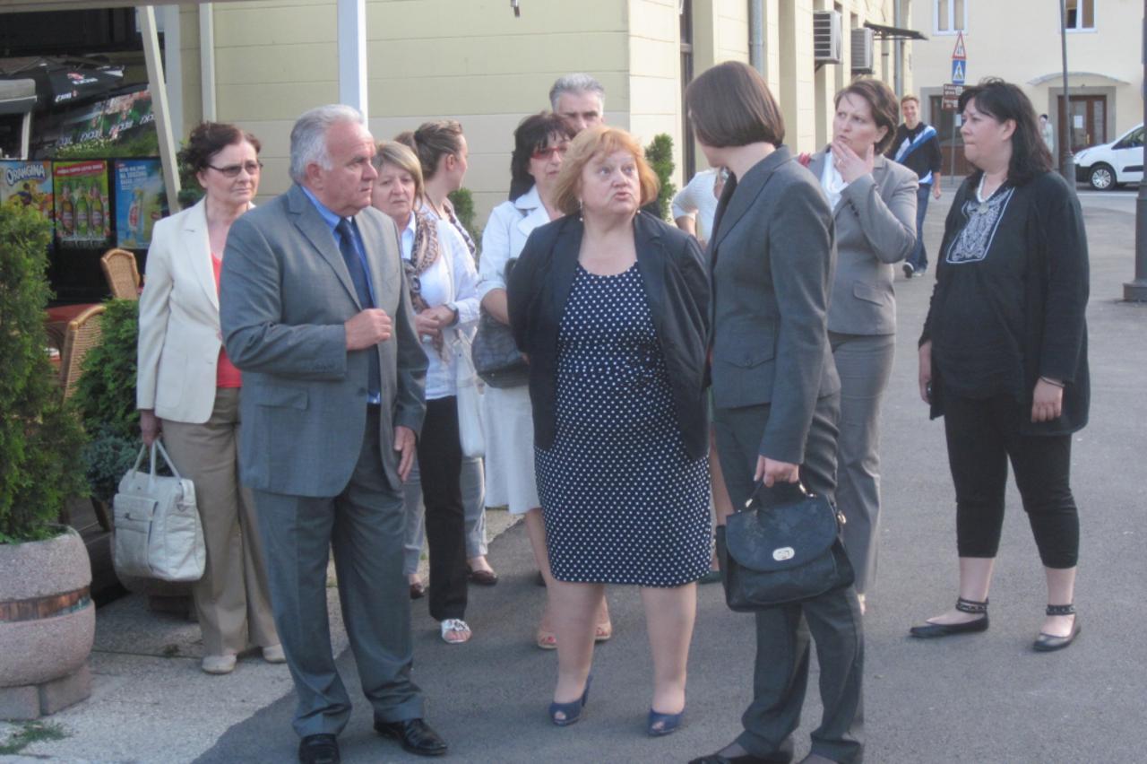 Anka Mrak Taritaš (1)