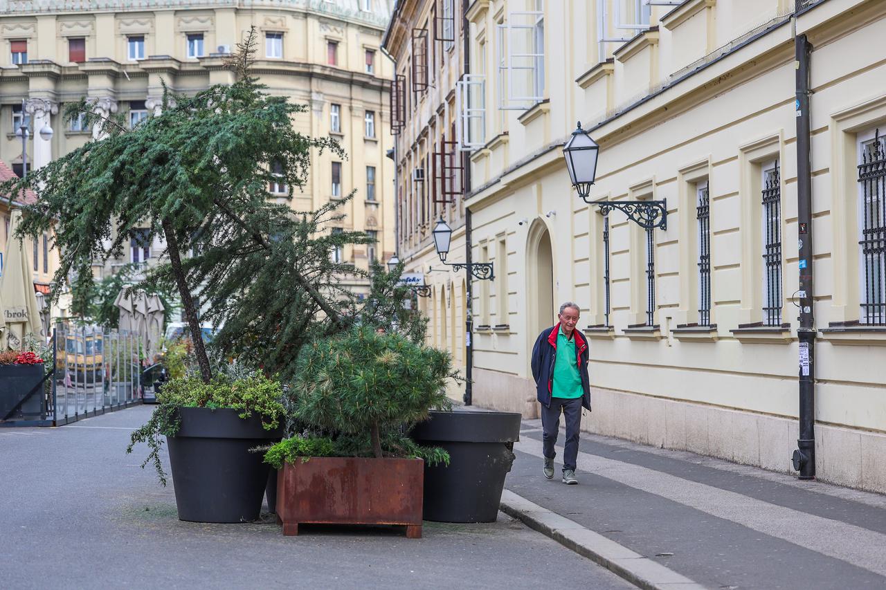 Zagreb: Stanje biljaka u žardinjerima u pješačkoj zoni u Vlaškoj