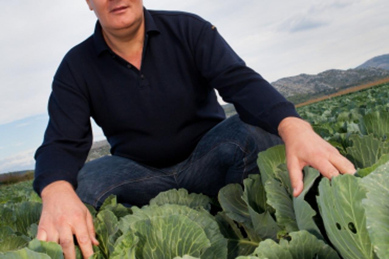\'SPECIJAL EXPRESS 10.10.2011., Neretvansko polje, dolina Neretve - Stipe Gabric Jambo, gradonacelnik Metkovica, u obilasku svoje zemlje zasadjene raznim kulturama.  Photo: Grgo Jelavic/PIXSELL\'