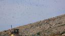 Cities Near Split Face Waste Disposal Crisis as Landfill Closes