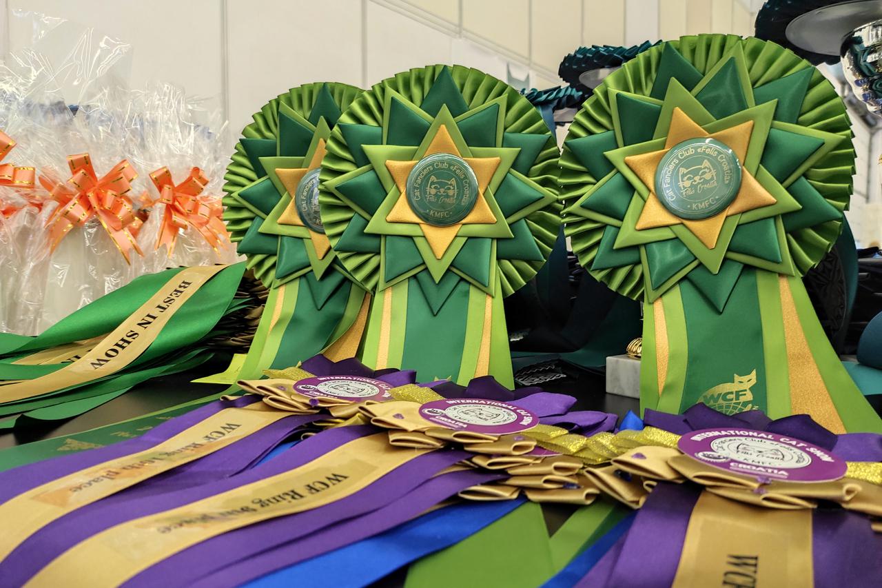 Međunarodna izložba mačaka na Velesajmu