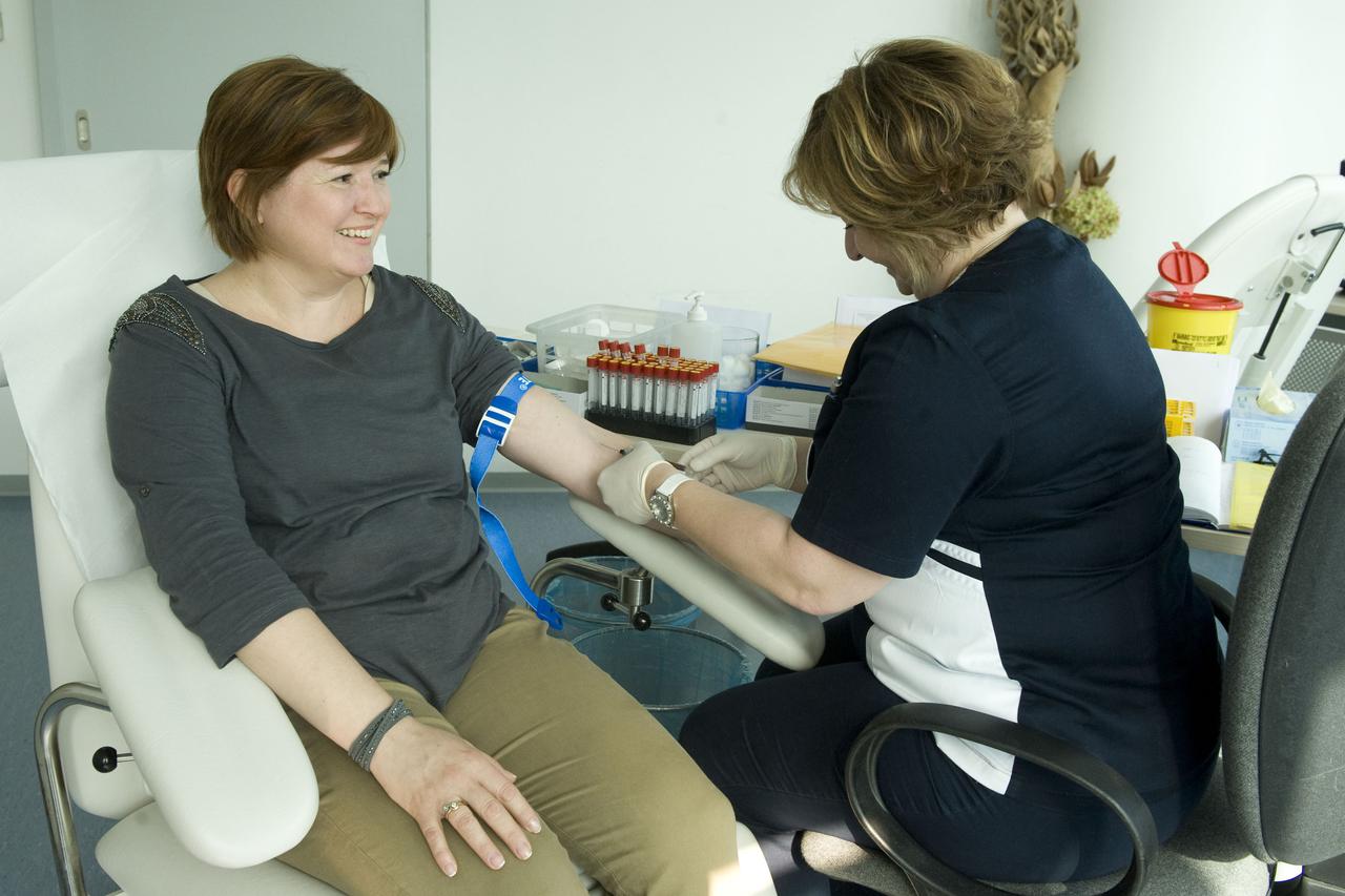 savršena linija ljeta - sitematski pregled