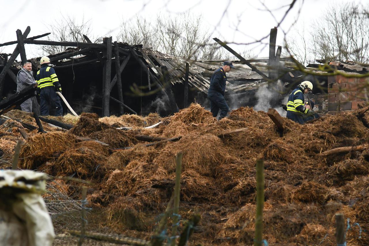 U požaru u Ivanovu Selu izgorio OPG