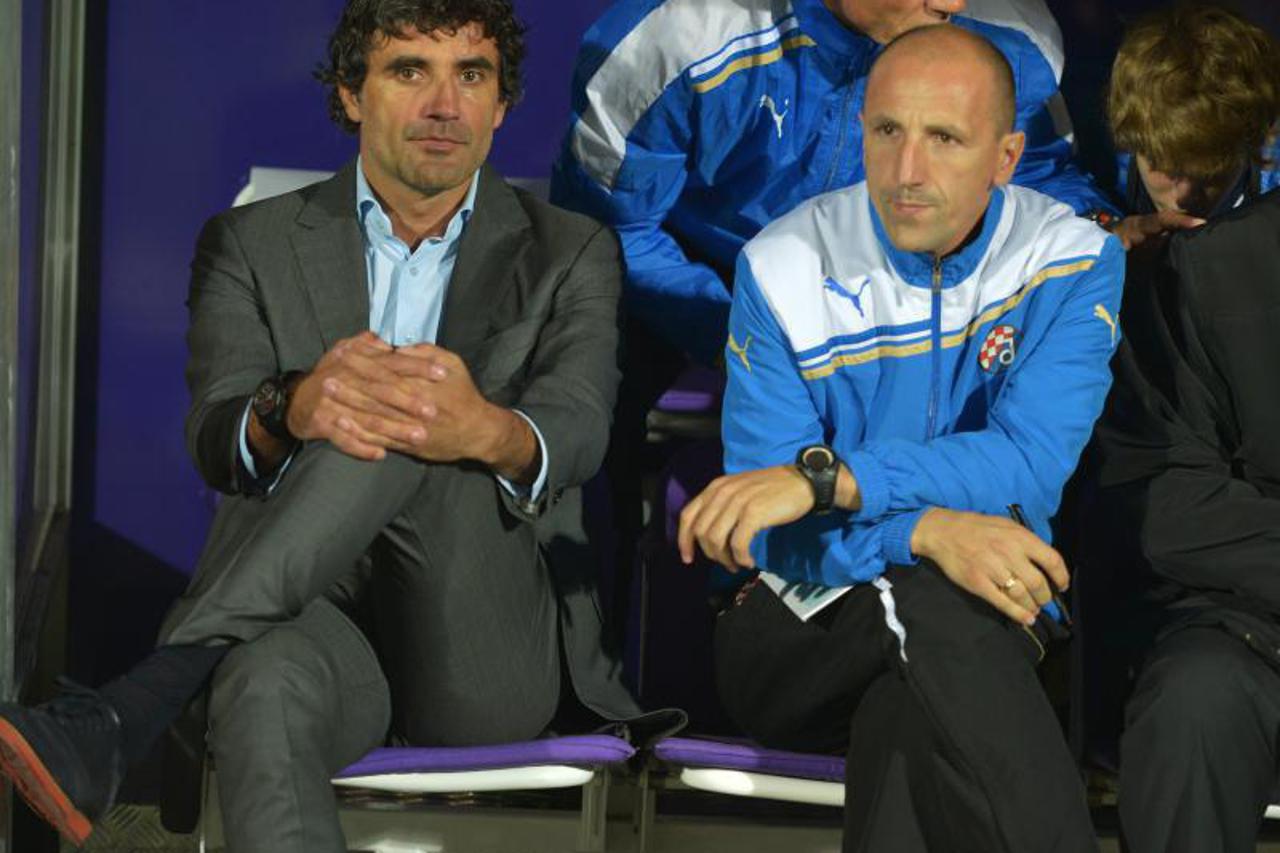 Zoran Mamić, Damir Krznar (1)