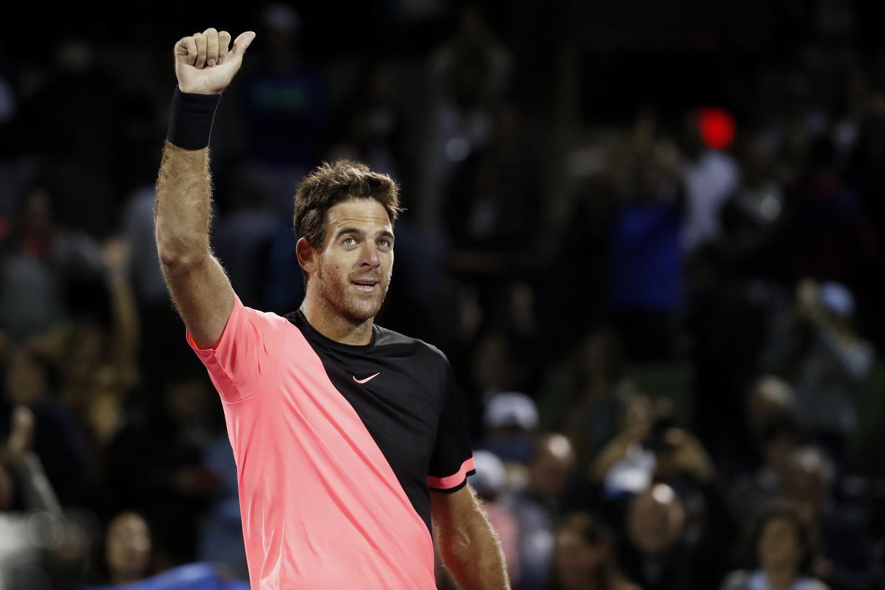 Juan Martin del Potro