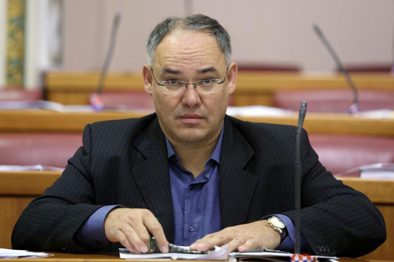 damir kajin