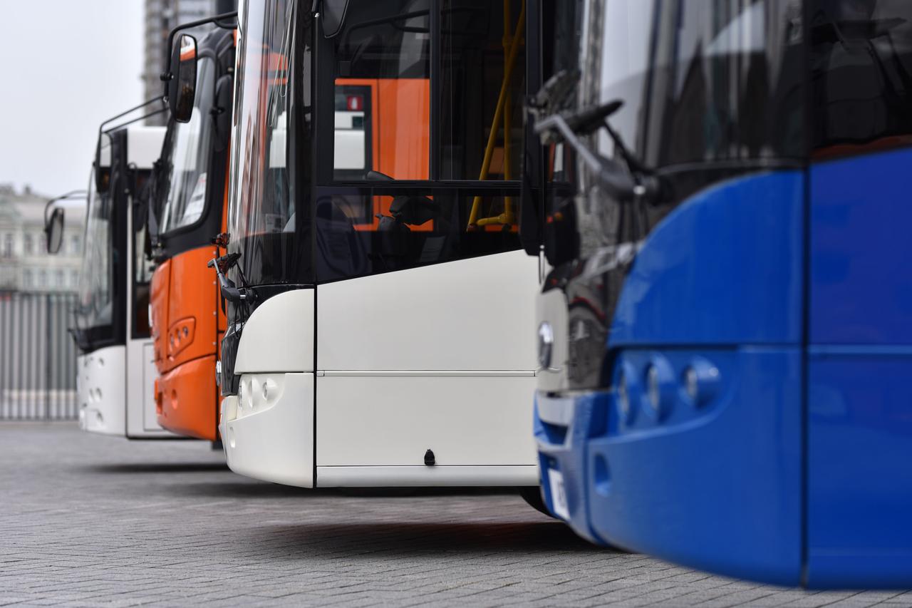 buses