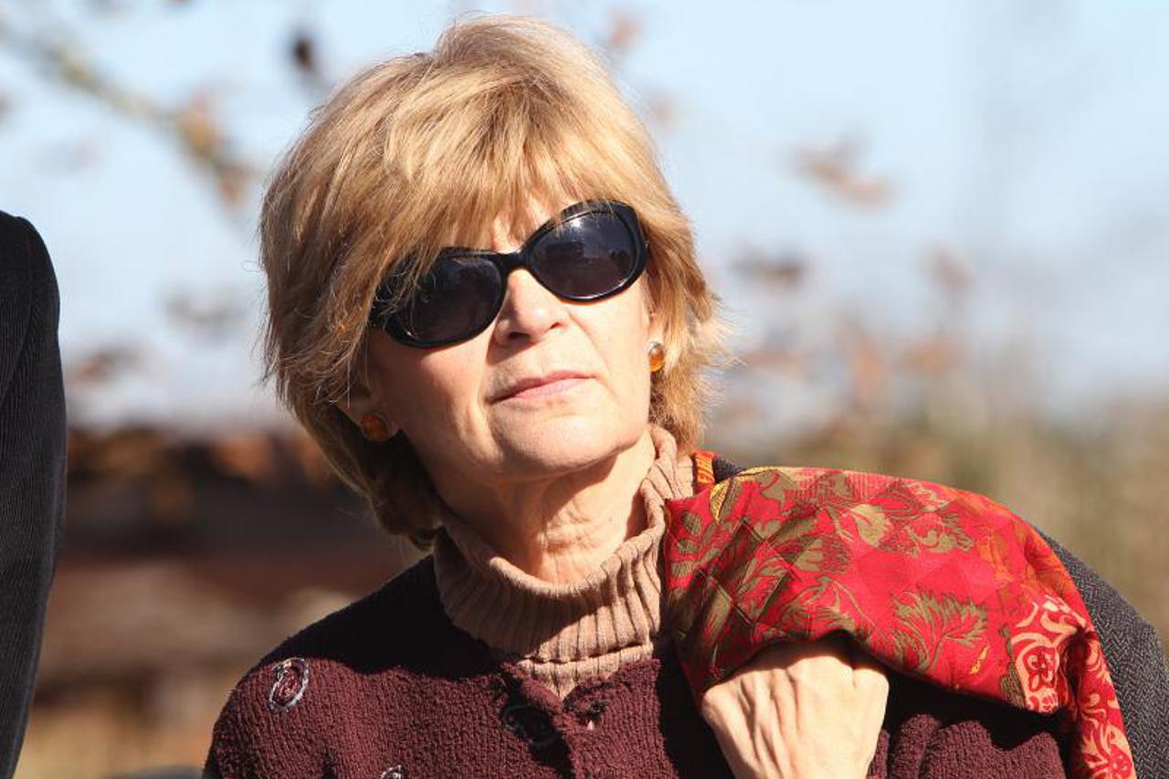 dijana pleština