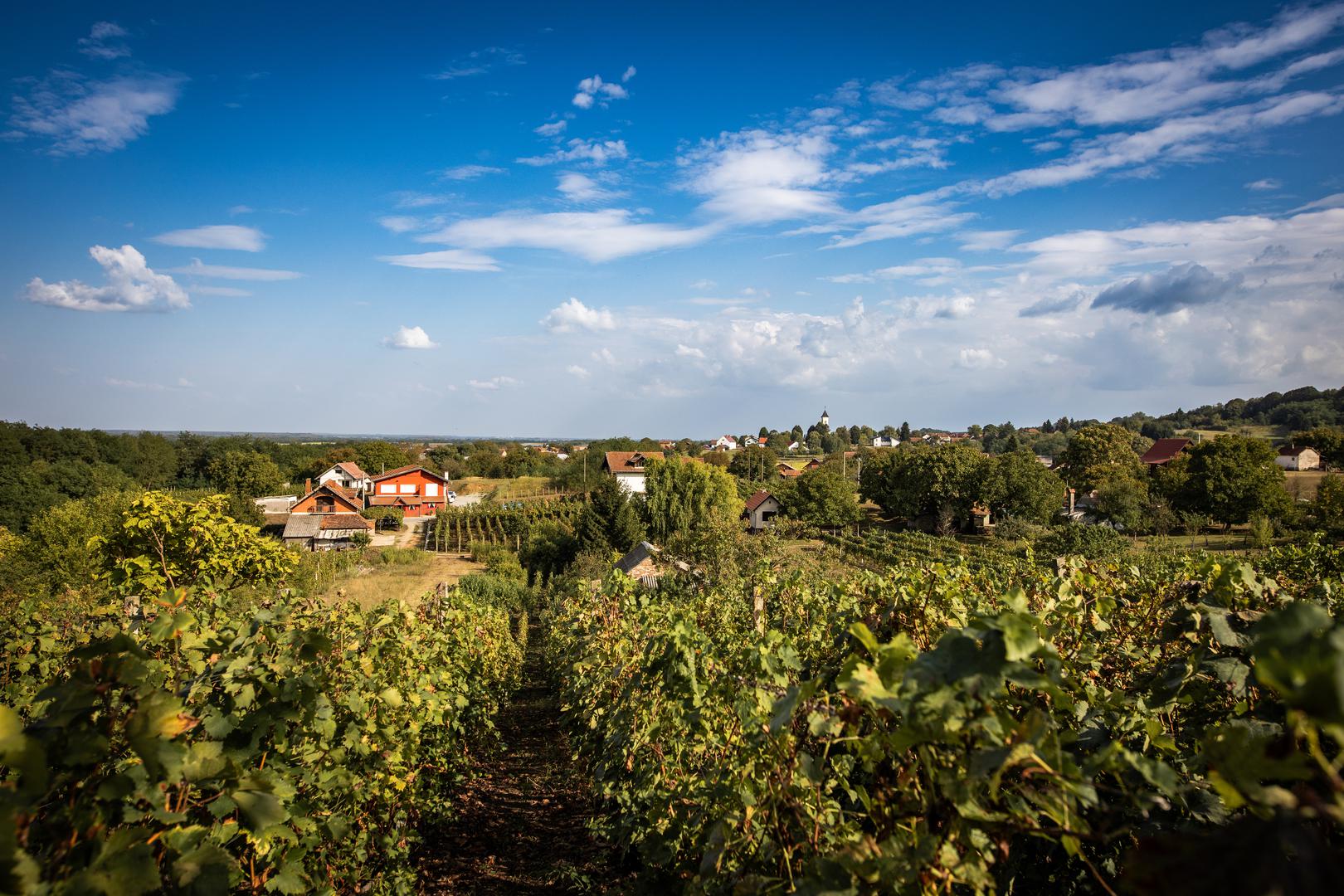 Bregi u suradnji s jeseni