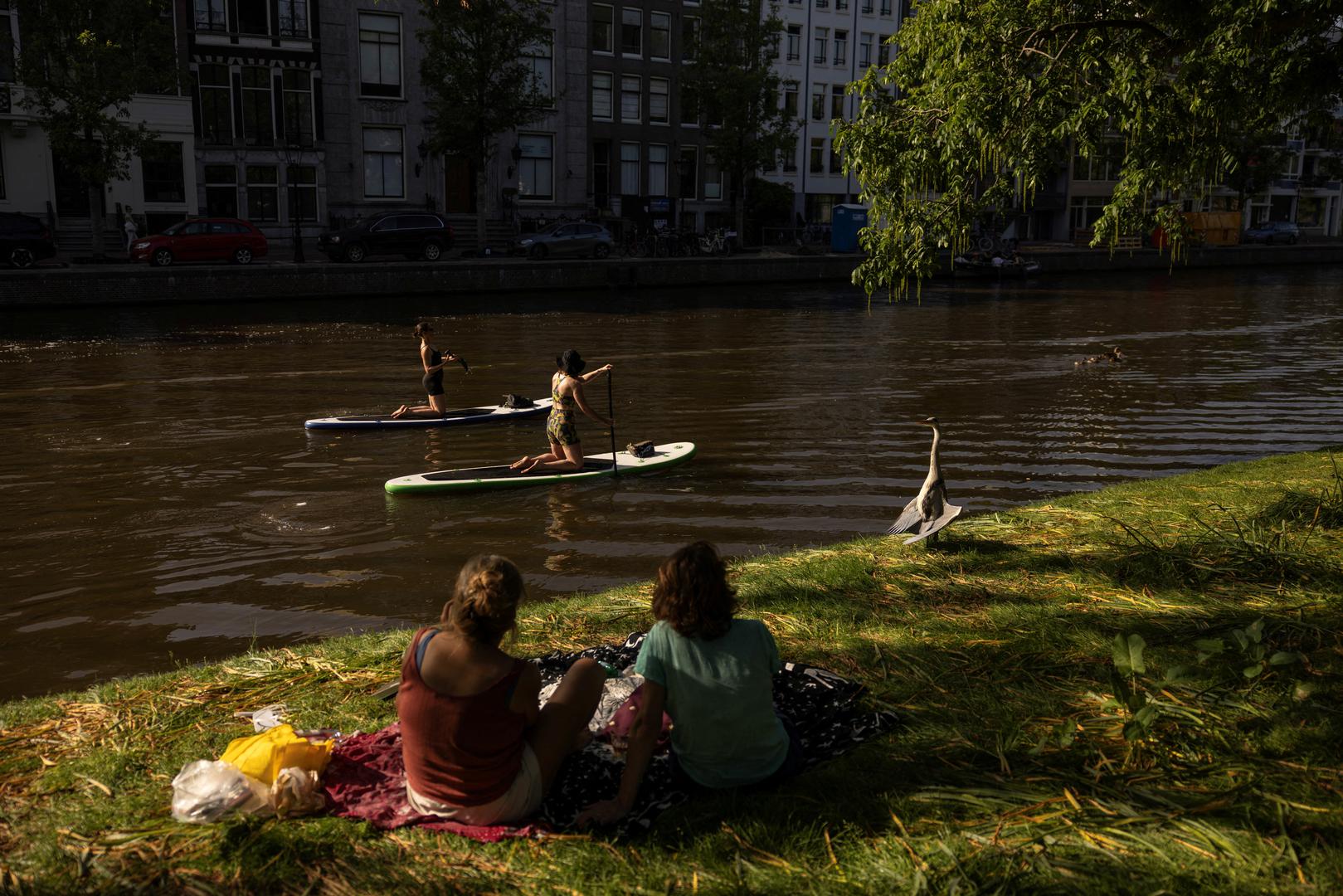 Amsterdam otvara mrežu „točaka za rashlađivanje” u knjižnicama, kazalištima, crkvama, društvenim centrima i drugim javnim prostorima, gdje građani mogu pronaći hlad, vodu i odmor, a škole uvode prilagođeni „tropski raspored”.