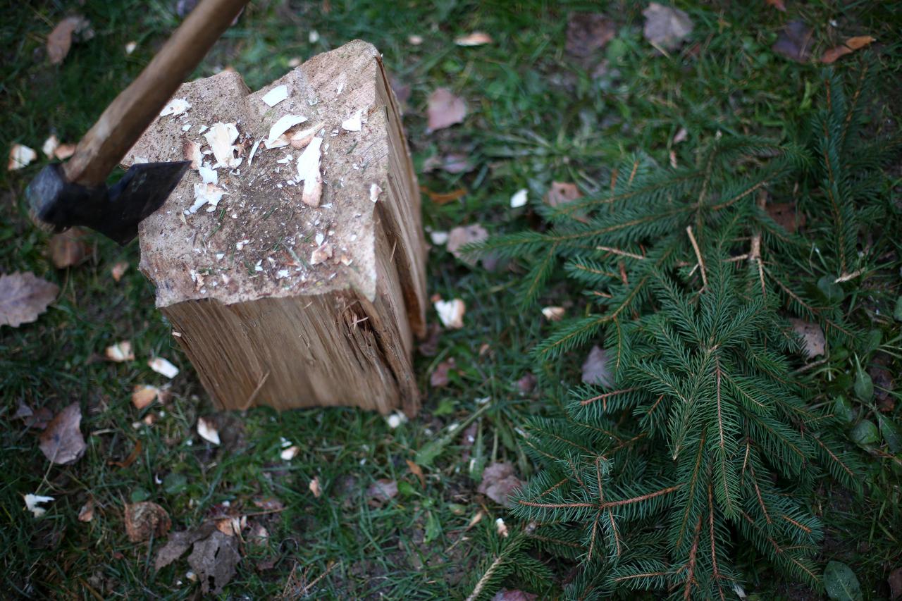 Sjekira - ilustracija