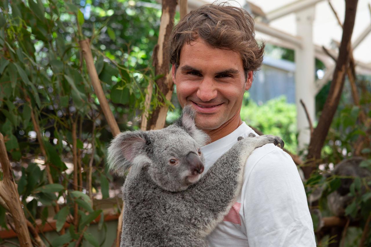 Tennis - Brisbane International -  Lone Pine Koala Sanctuary - Brisbane - Queensland - Australia  - 29/12/2013.