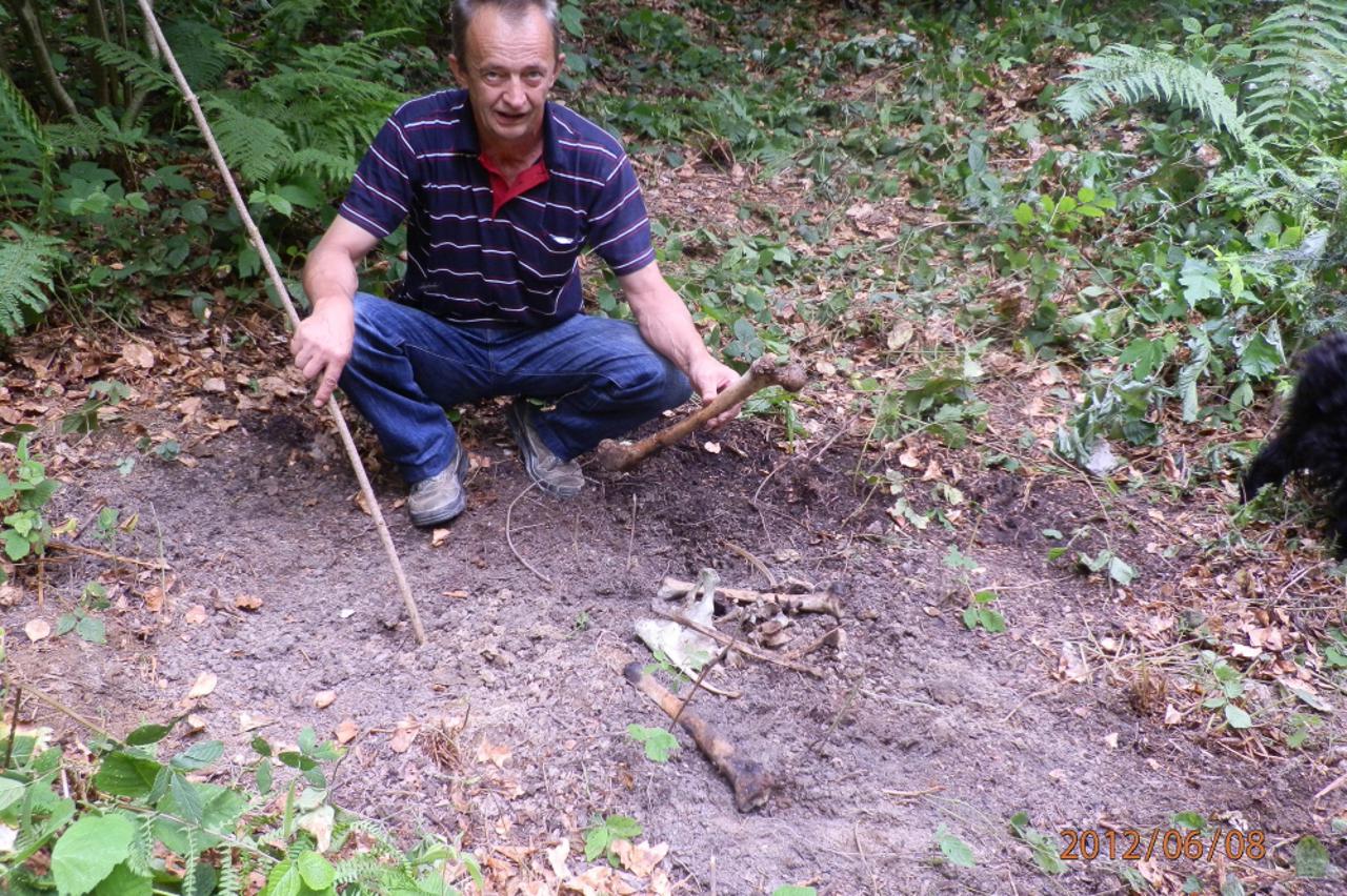 Milan Kovačić, kosti, Saborsko (1)