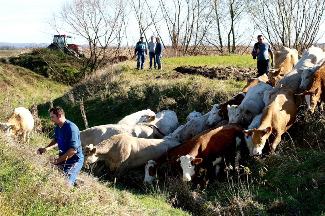 \'OLYMPUS DIGITAL CAMERA         \'