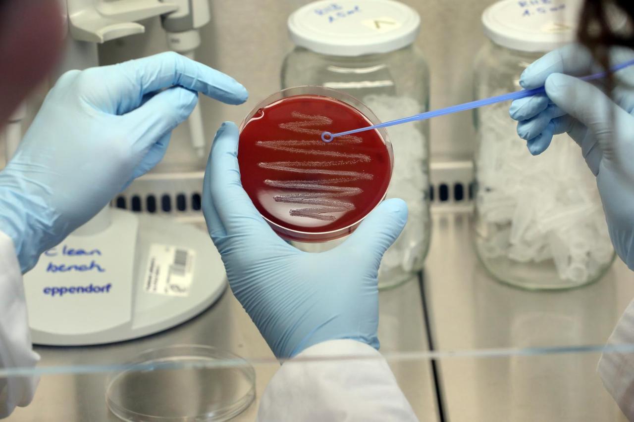 dpa-story: Microbiology at Max-Planck-Institute