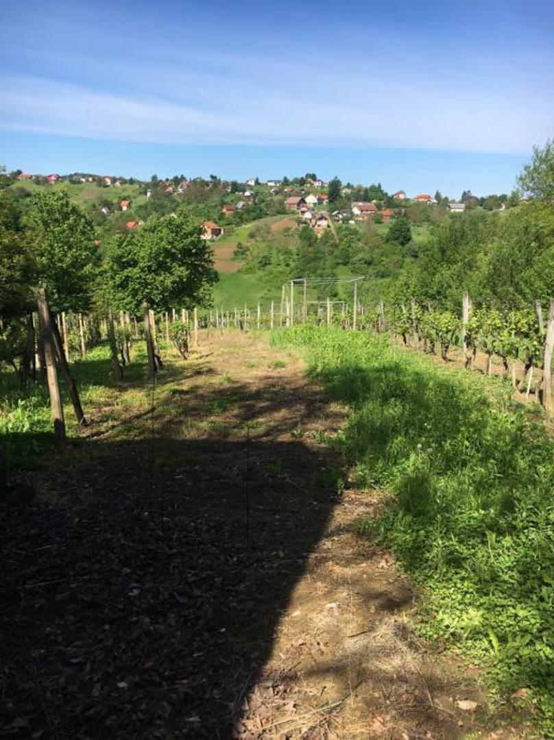 Kuća je ucrtana, nema građevinsku i uporabnu dozvolu, dodaje se u oglasu. 

