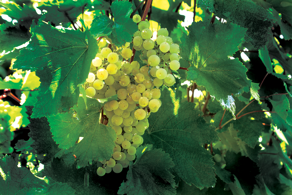 Rekreacijski odmor u Sisačko-moslavačkoj županiji