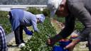 Croatia Faces Demographic Shift, Data Breach, and Climate Impacts
