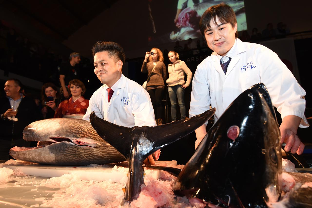 Tuna, Sushi & Wine Festival