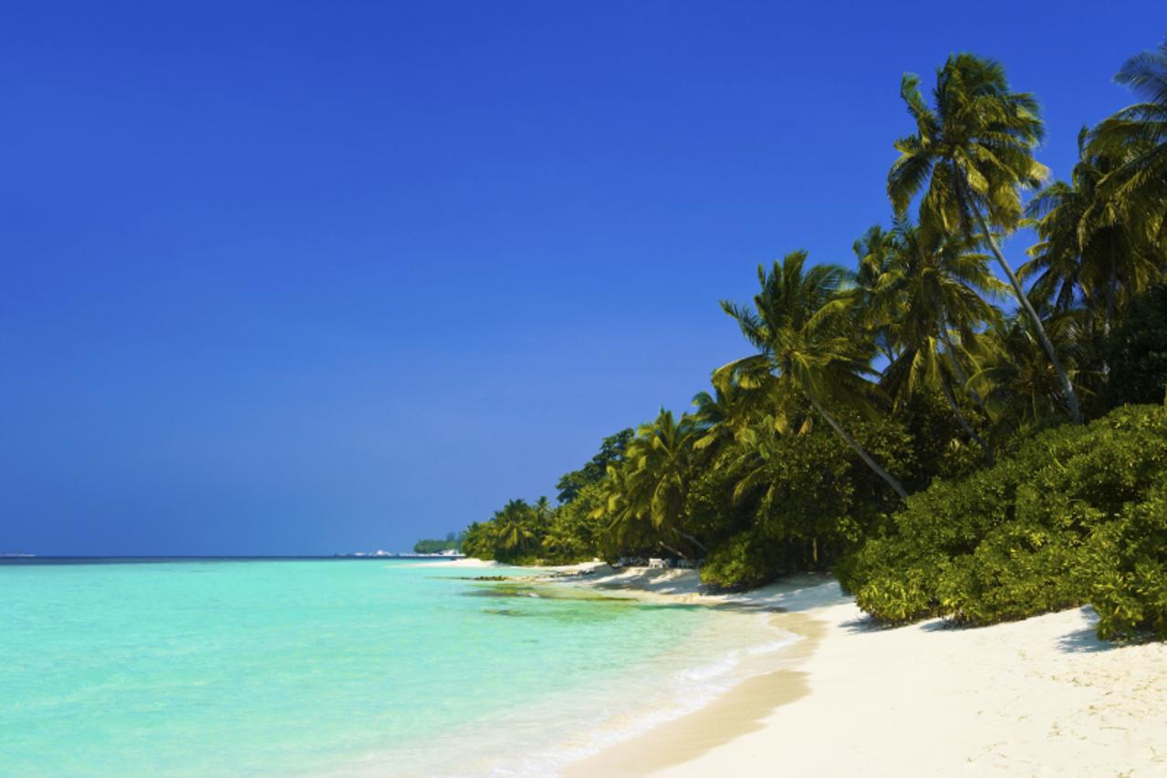 'Tropical beach and jungle - vacation background'