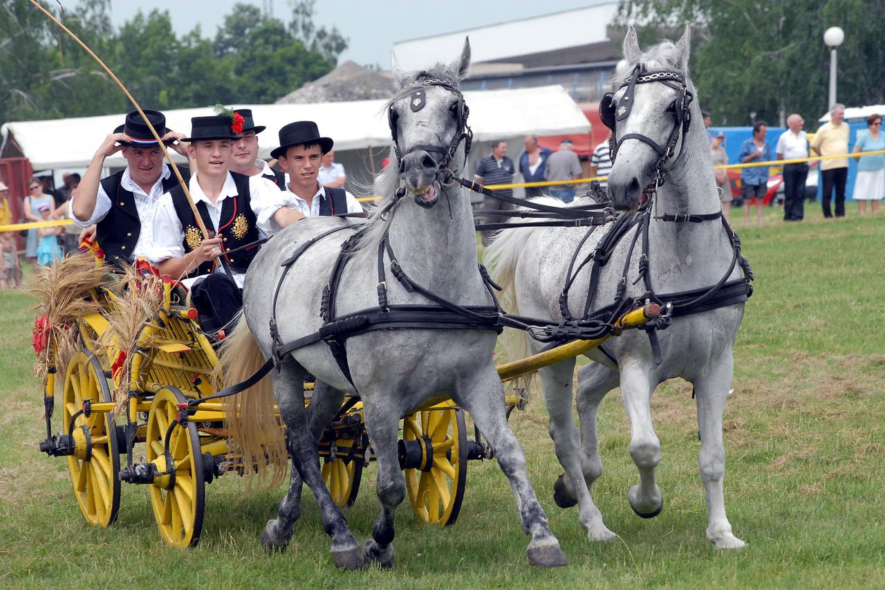 13.06.2010.,Slavonski Brod ,Hrvatska - Konjogojska manifestacija 