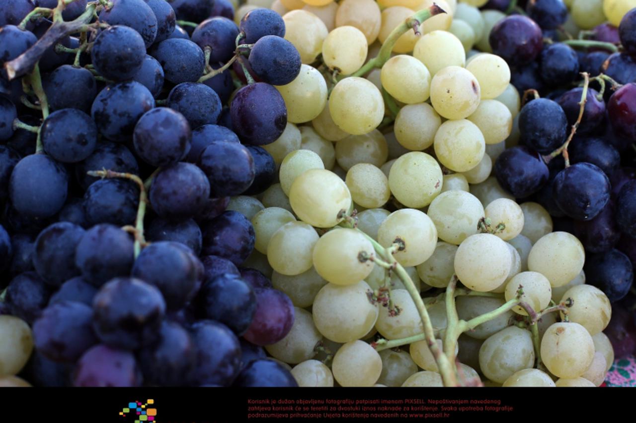 '19.10.2012., Dolac, Zagreb - Ponuda voca na zagrebackoj trznici Dolac. Grozdje. Photo: Sanjin Strukic/PIXSELL'