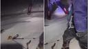 Haris i Kemal jedini preživjeli dramu na 5100 metara: Petorica planinara poginula, objavljena potresna snimka