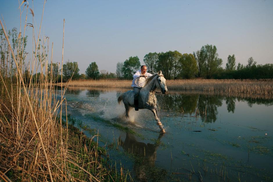 Slavonija i Baranja