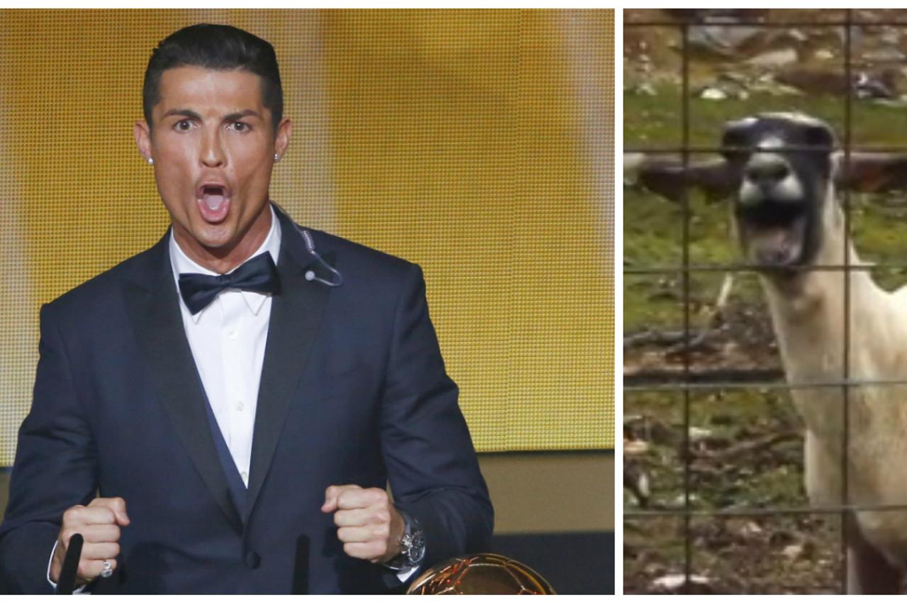 ronaldo